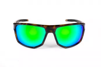 KA01-02 C6 shiny tortoise-green26